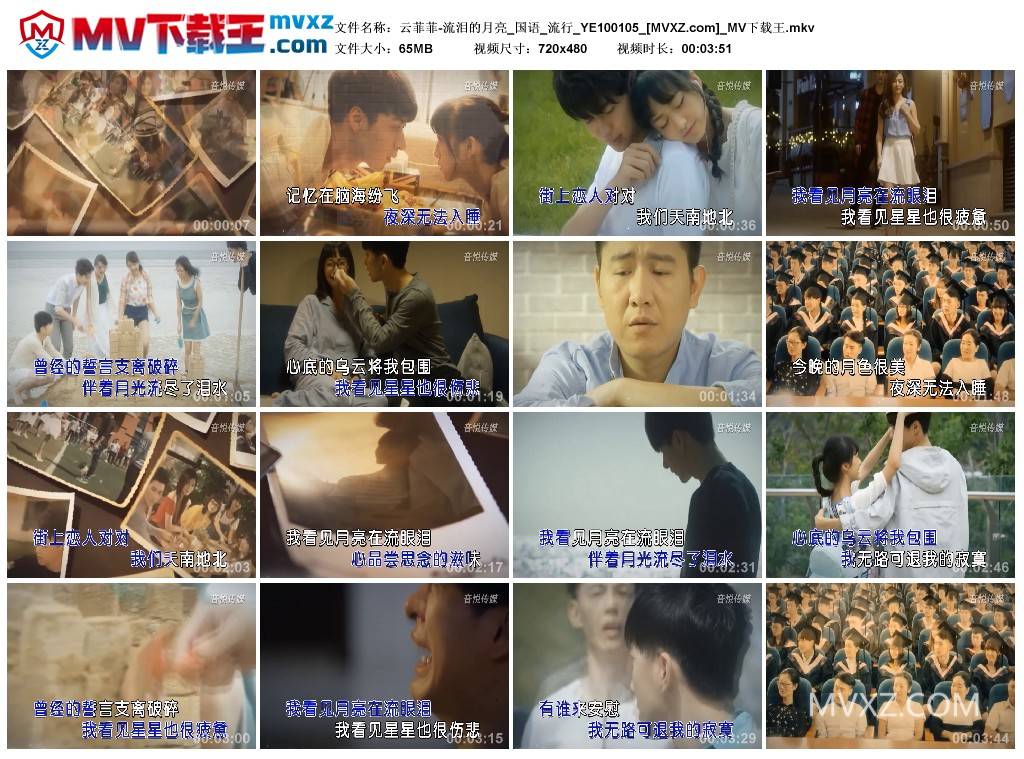 云菲菲-流泪的月亮_国语_流行_YE100105